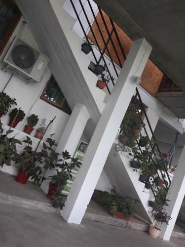 Apartamento ???????? ??? ??????