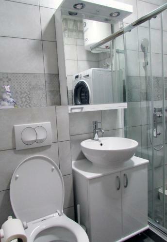 Apartment B&s