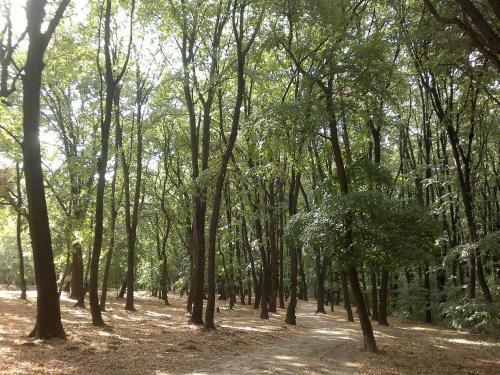 Apartamento Flat Kosutnjak 9