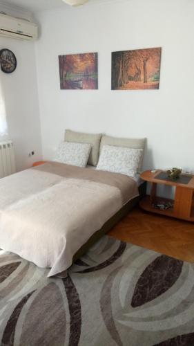 Apartamento Cozy Studio Belgrade (Zemun)