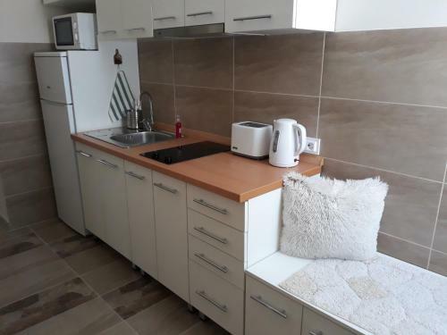 Belgrade 1911 Apartment