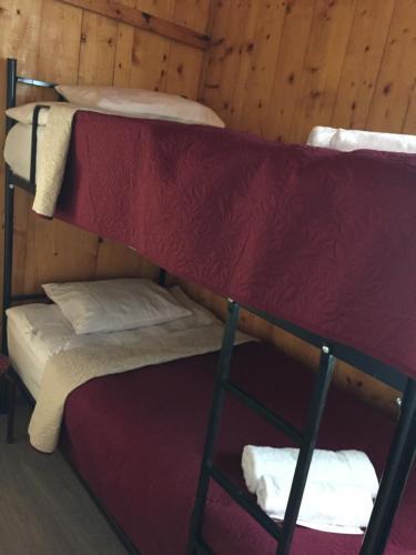 Hostal Travel Inn House Mestia ? ????????? ?????