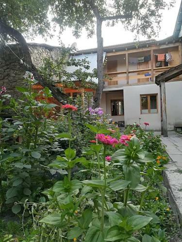 Bed & Breakfast Sanmari