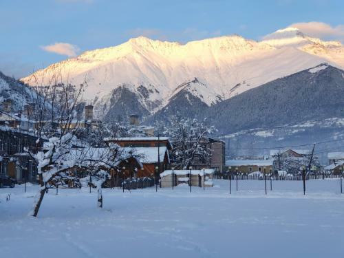 Hostal Mountain Star In Mestia