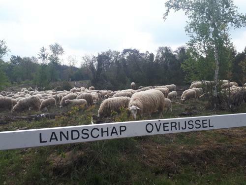 Bed & Breakfast De Hammerhoeve