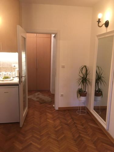 Apartamento Apolon 12