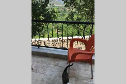 Do?a I�inde Bol Manzaral? M�stakil Modern Bir Ev