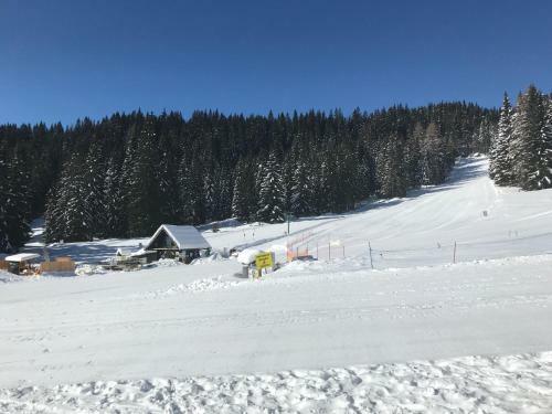Chalet Stara Jelka Pokljuka