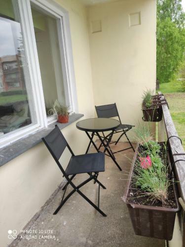 Cozy Apartment Rucava