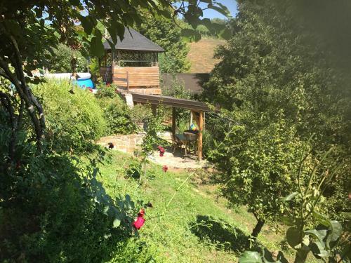 Wine & Nature & Tour
