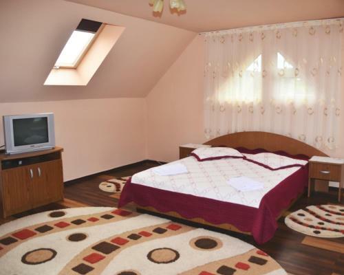 Hostal Pensiunea Teo