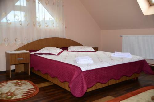 Hostal Pensiunea Teo