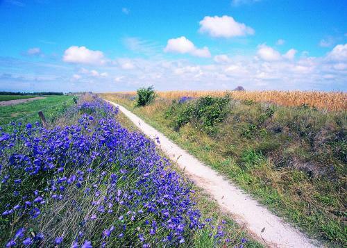Bed & Breakfast Zilt Texel