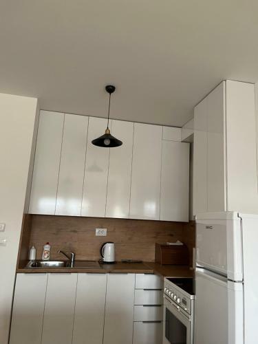 Central Luxury Apartment