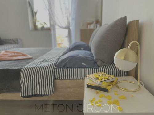 Apartamento Metonic Room