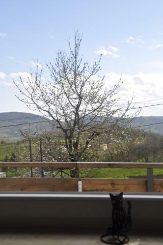 Apartma Baj?i