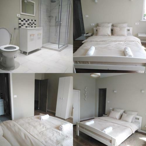 Casa Ofrim, B�rsana, Maramure?