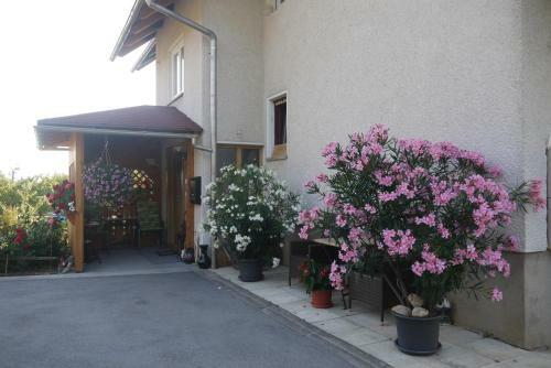 Hostal Apartments - Glamping Encijan