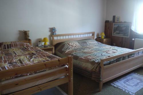 Hostal Apartments - Glamping Encijan