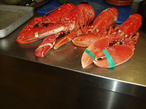The Old Forge Seafood Restaurant And Bed And Breakfast
