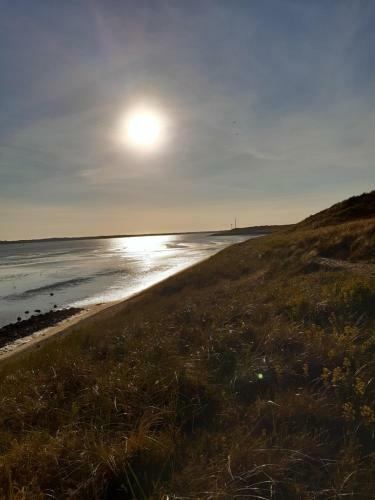 Apartamento Texelheerlijk 10