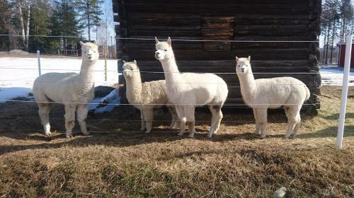 Agroturismo Nytorpsg�rden