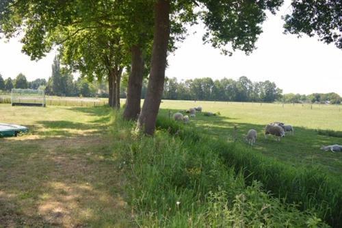 Apartamento Residentie de Hoek