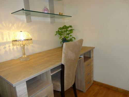 Central Apartment Riepnieku Street