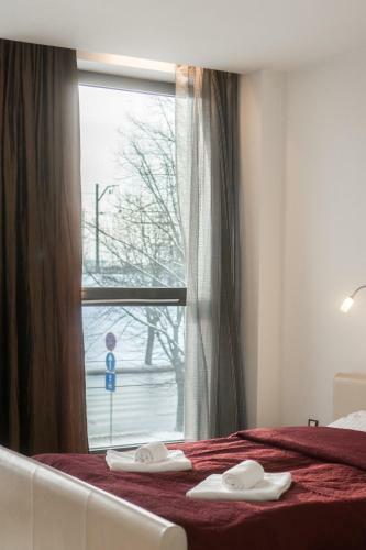 Riga City Center Apartment