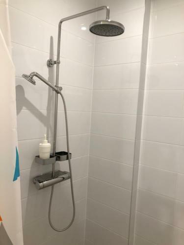 Pernavas Park & Bed Apartment Riga