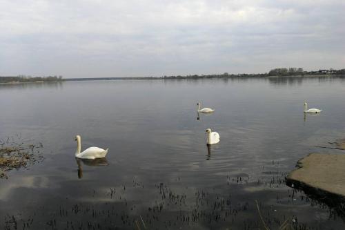 Apartamento 6 Can Stay. Self Check In. River 200m.