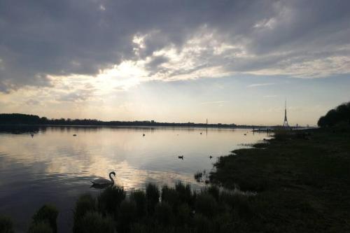 Apartamento 6 Can Stay. Self Check In. River 200m.