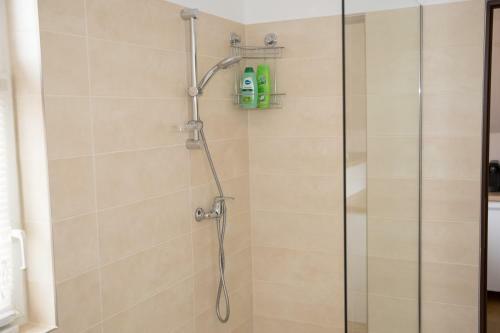 Apartament Delta