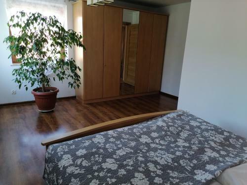 Agroturismo Apartamenty Pod Dzikowcem