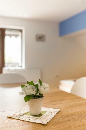 Apartmaji Rupnik