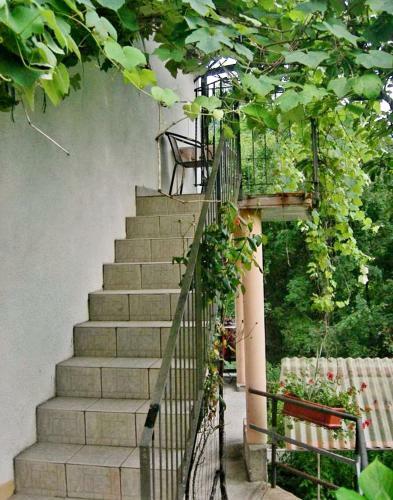Apartma Nadi?a