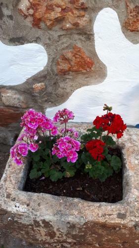 Agroturismo Guest House Almeixar