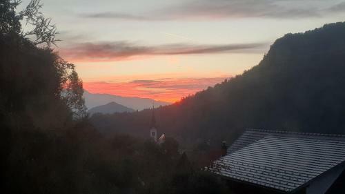 Hostal Alp House