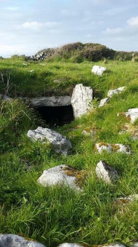 Hostal Lanelodge Doolin