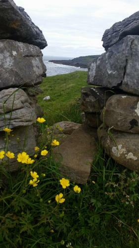 Hostal Lanelodge Doolin