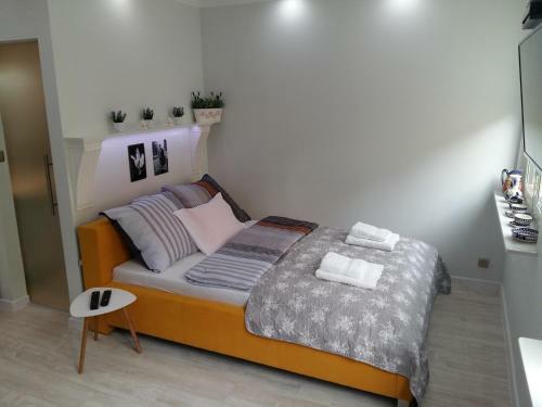 Apartament Stare Miasto Boles?awiec