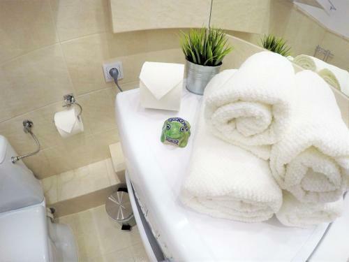 Ozonowany Apartament Przy Star�wce - Stella