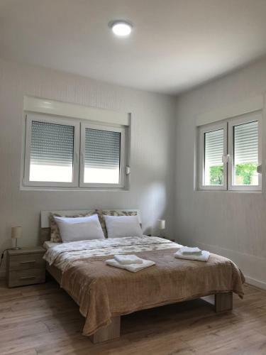 Apartman Studio Milojkovic