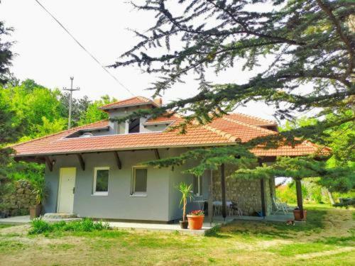 Hostal Zelena Oaza