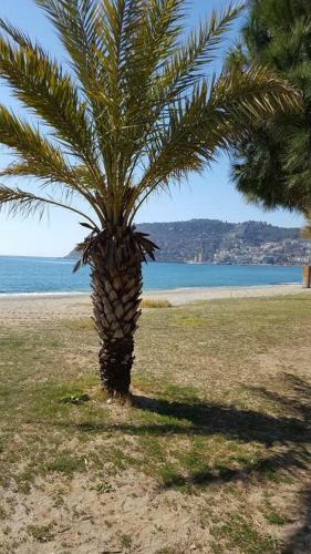 Apartamento Bolat Tatil Evleri