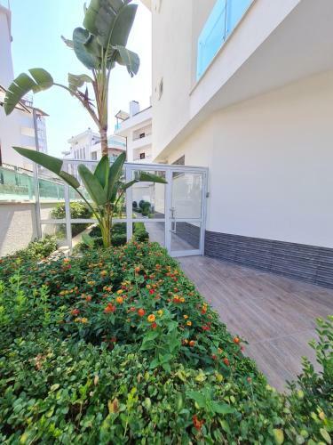 Apartamento Best Home - Kleopatra