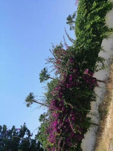 �imtur Tatil Sitesi 3+1 Villa