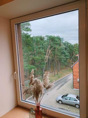 Apartamento Labas Nida