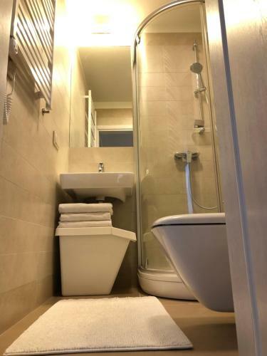 Apartamento Private Home ?vilnel??