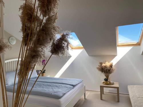 Apartamento Dream Catcher Retreat